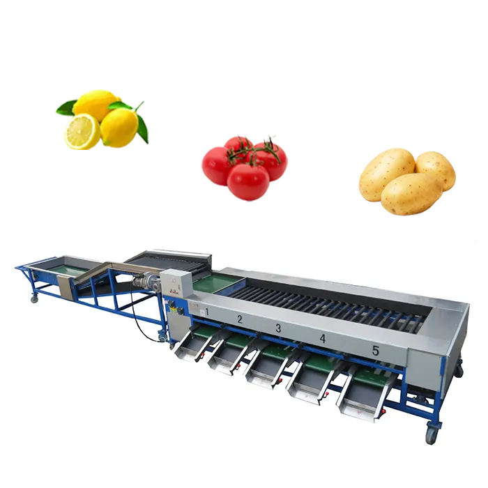 Augļu šķirošanas mašīna šķirošanas mašīna