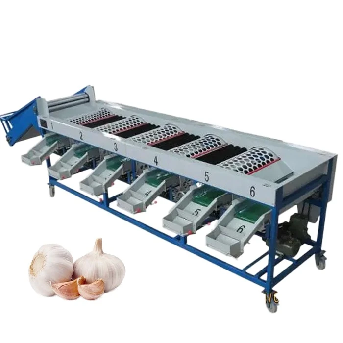 Garlic sorting machine 2